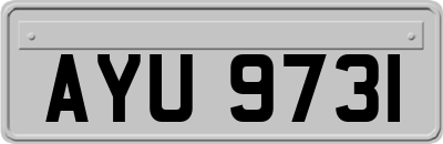 AYU9731