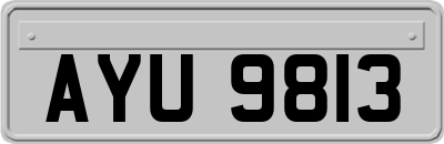 AYU9813