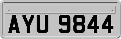 AYU9844