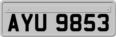 AYU9853