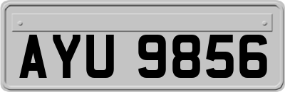 AYU9856