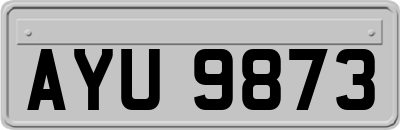 AYU9873