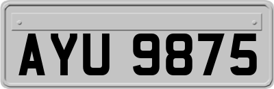 AYU9875