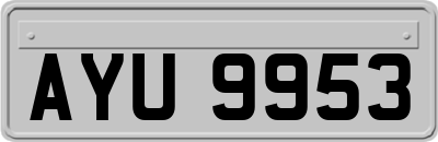 AYU9953