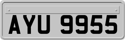 AYU9955