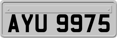 AYU9975