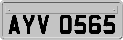 AYV0565