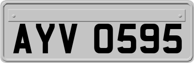 AYV0595