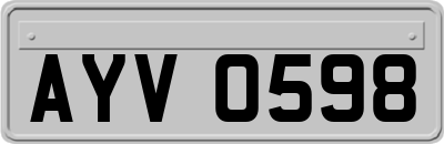 AYV0598
