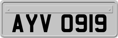 AYV0919