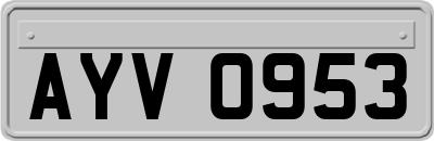 AYV0953