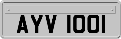 AYV1001