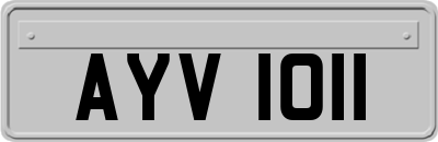 AYV1011