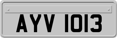 AYV1013