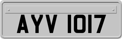 AYV1017