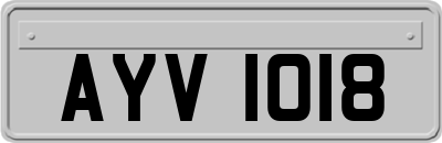 AYV1018