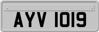 AYV1019