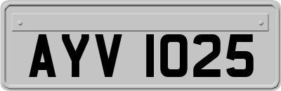 AYV1025