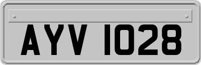 AYV1028