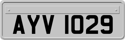 AYV1029