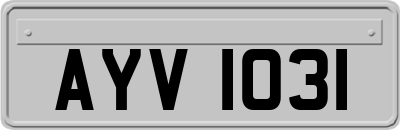 AYV1031