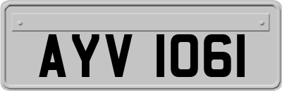 AYV1061