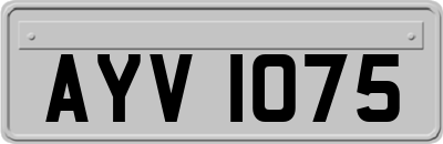 AYV1075