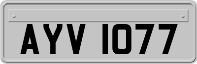 AYV1077