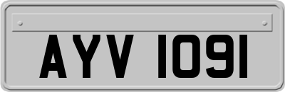 AYV1091