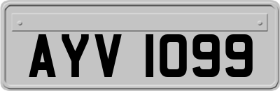 AYV1099