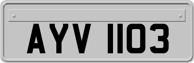 AYV1103