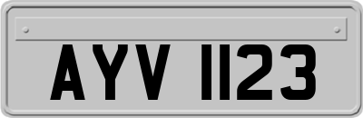 AYV1123