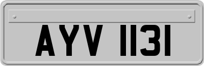AYV1131