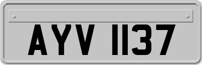 AYV1137