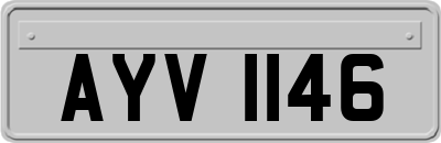 AYV1146