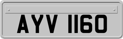 AYV1160