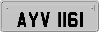 AYV1161