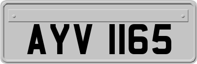 AYV1165