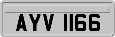 AYV1166
