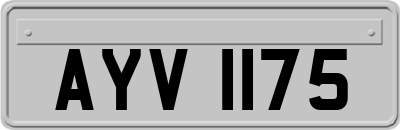 AYV1175