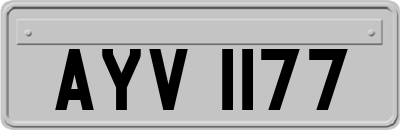 AYV1177