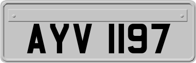 AYV1197
