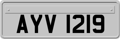 AYV1219