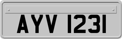 AYV1231