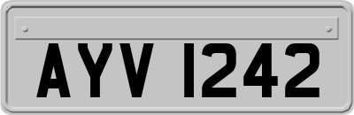 AYV1242
