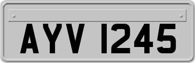 AYV1245