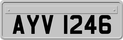 AYV1246