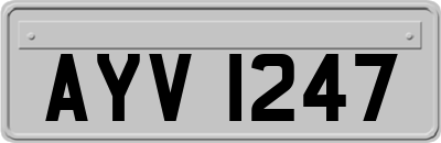 AYV1247