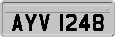 AYV1248