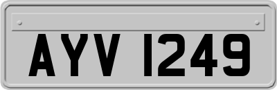AYV1249